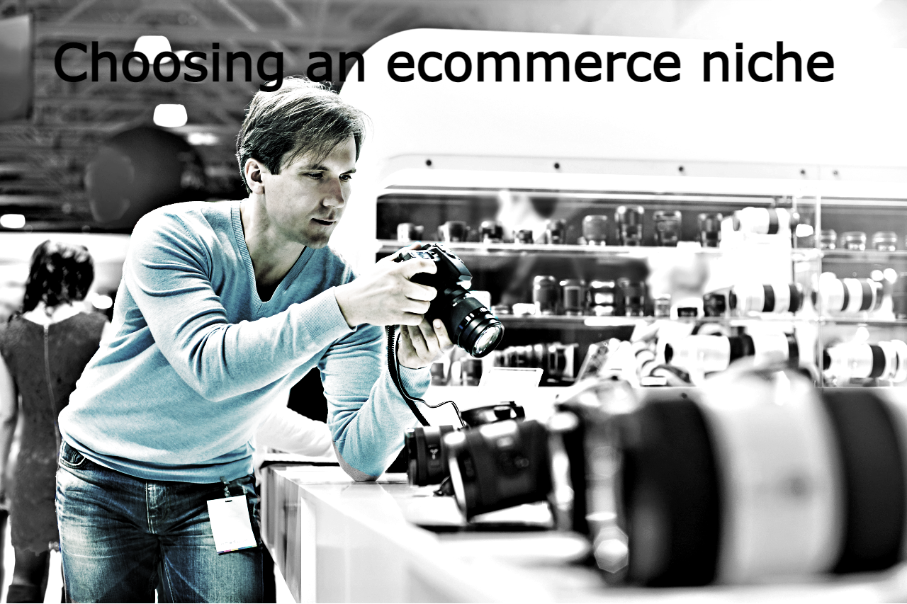 Choosing an ecommerce niche